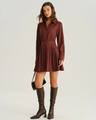 Brick Red A-Line Pleated Mini Dress