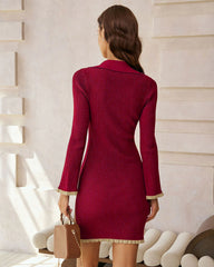 Wine Red V Neck Viscose Mini Dresses